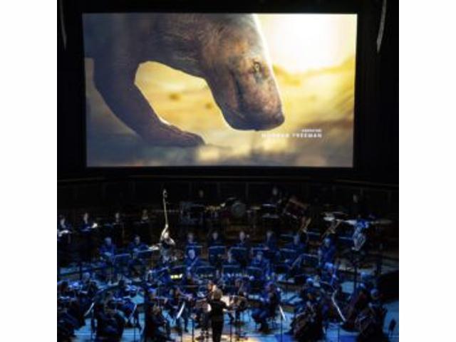 Bild von Life on Our Planet in Concert