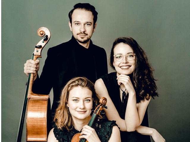 Bild von Avin Trio