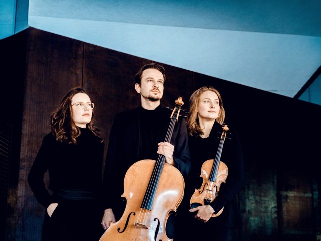 Bild von Avin Trio