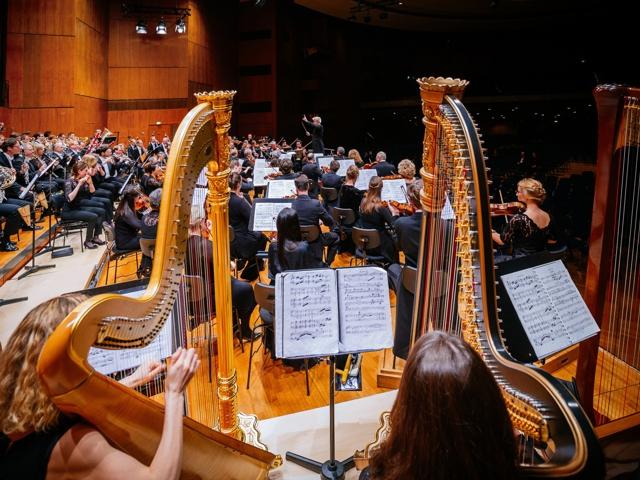 Bild von Stuttgarter Philharmoniker