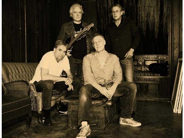 Bild von Didi & The Dynamite Daze