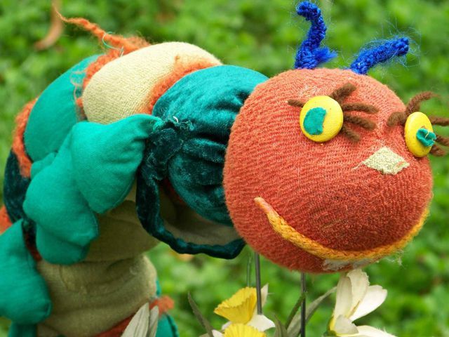 Bild von Die Kleine Raupe