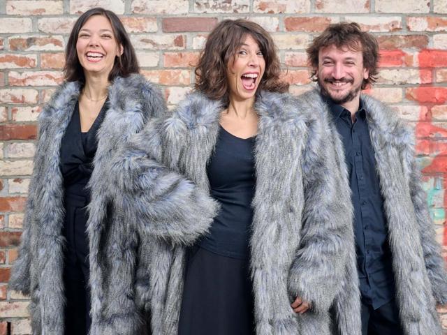 Bild von Nordische Klänge  - Trio vis-à-vis