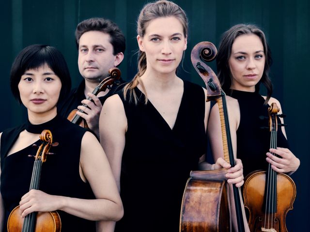 Bild von Malion Quartett