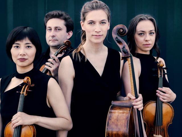 Bild von Malion Quartett