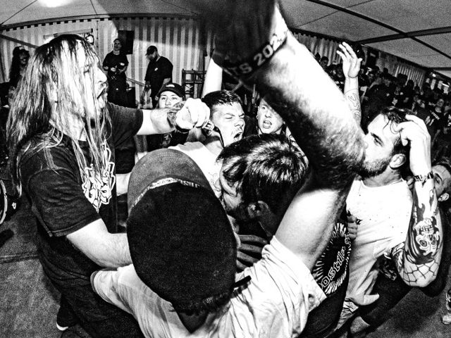 Bild von GOLDI BASHH #2 feat.