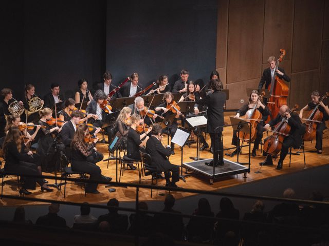 Bild von Süddeutsches Sinfonieorchester: intime Klänge!