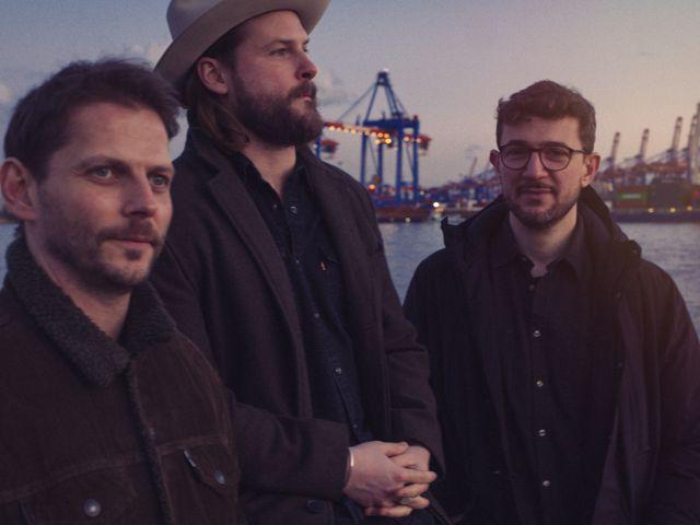 Bild von Mighty Oaks