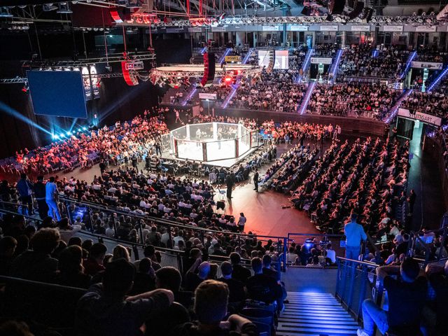 Bild von We love MMA - MIXED MARTIAL ARTS