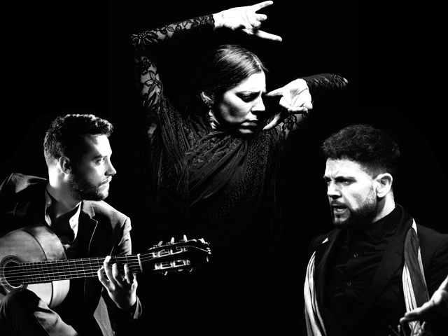 Bild von Daniel Martinez Flamenco Dance