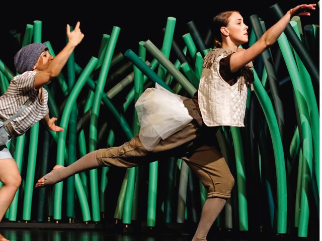 Bild von Nils Holgersson