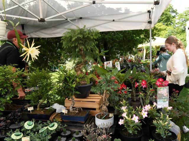 Bild von GardenLife 2026