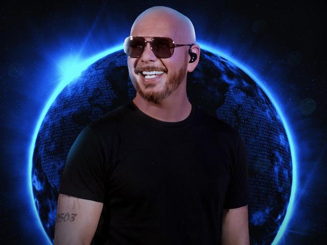 Bild von PITBULL