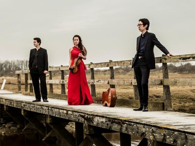 Bild von Amatis Trio