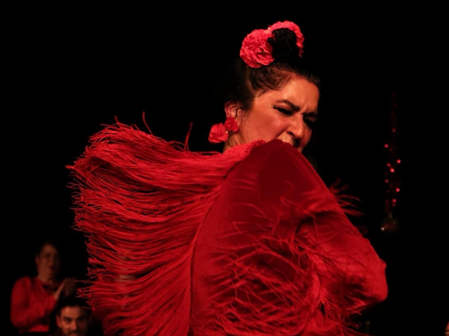 Bild von Roma-Tag-Festival 2026: Noelia Vargas Flamenco Company - “Sastipen”