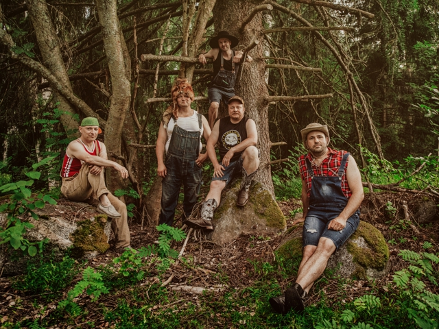 Bild von Steve'n'Seagulls