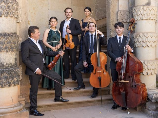 Bild von Adventskonzert - Dresdner Residenz Orchester