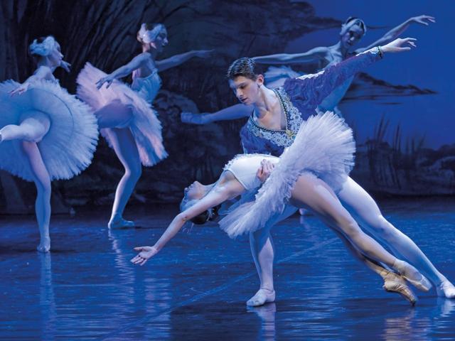 Bild von Schwanensee