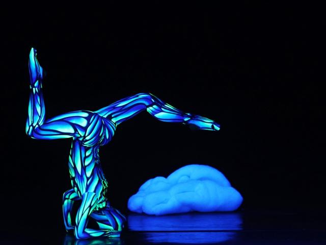 Bild von Best of eVolution Dance Theater