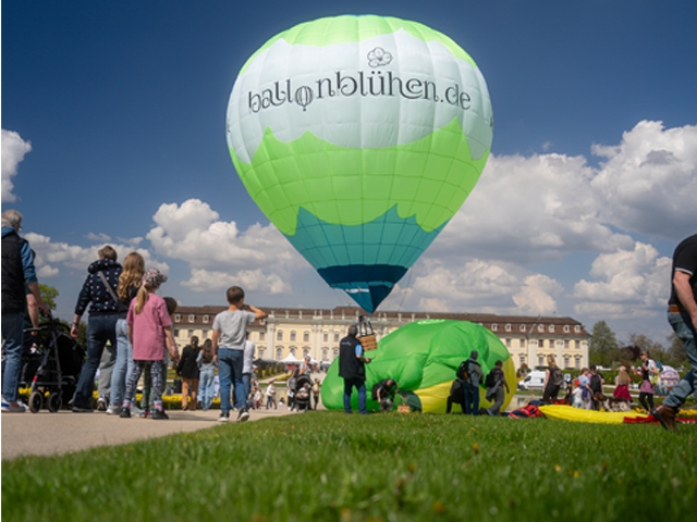 Bild von Ballonblühen Reutlingen