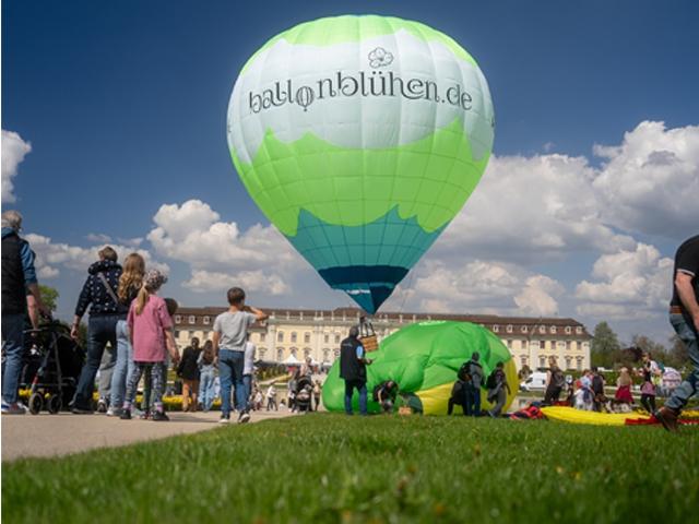 Bild von Ballonblühen Reutlingen