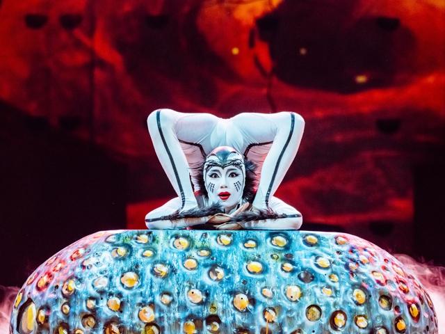 Bild von Cirque du Soleil - OVO
