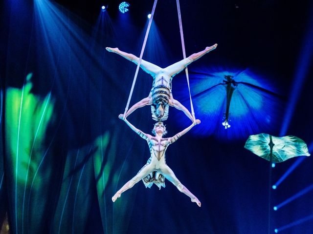 Bild von Cirque du Soleil - OVO