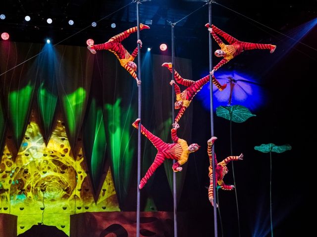 Bild von Cirque du Soleil - OVO