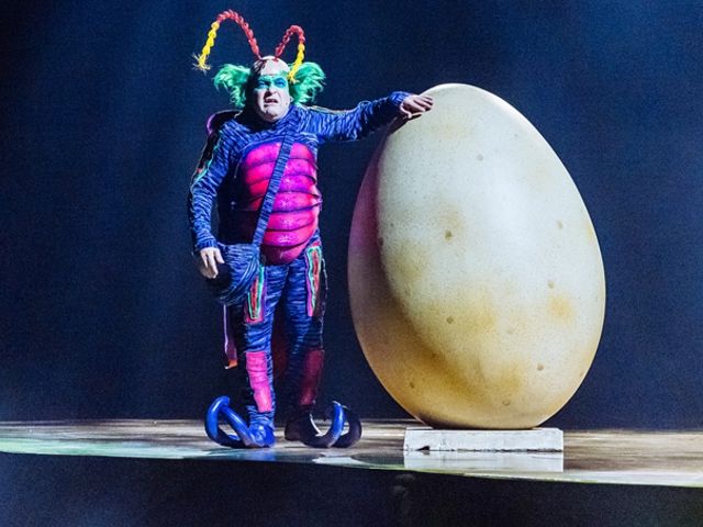 Bild von Cirque du Soleil - OVO
