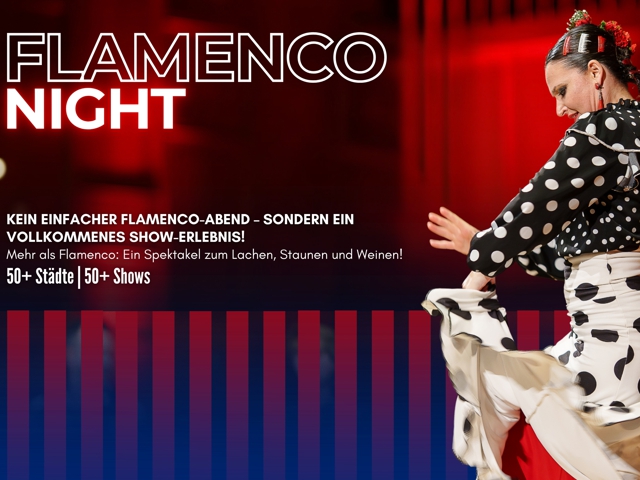 Bild von Flamenco Night