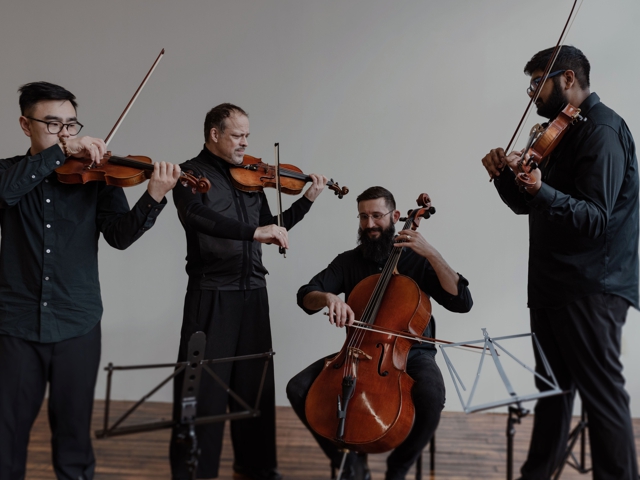 Bild von Sirius Quartett