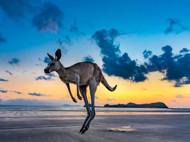 Bild von Australien - Ein Jahr Freiheit