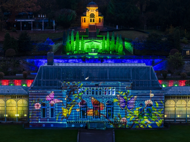 Bild von Christmas Garden 2026/2027
