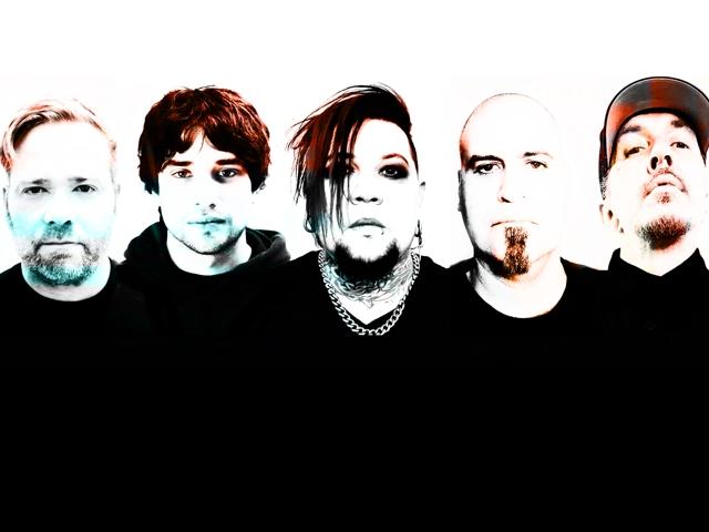 Bild von SPINESHANK + (HED) P.E.