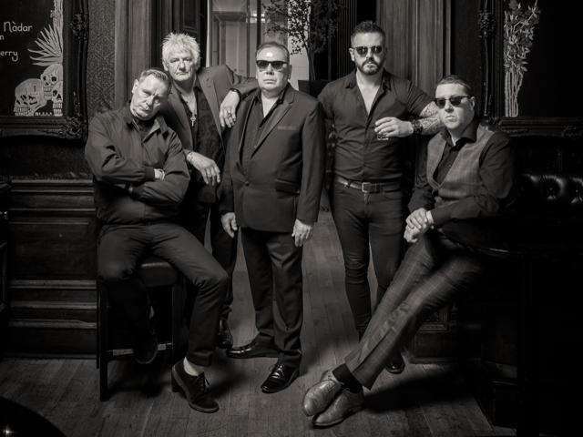 Bild von The Godfathers