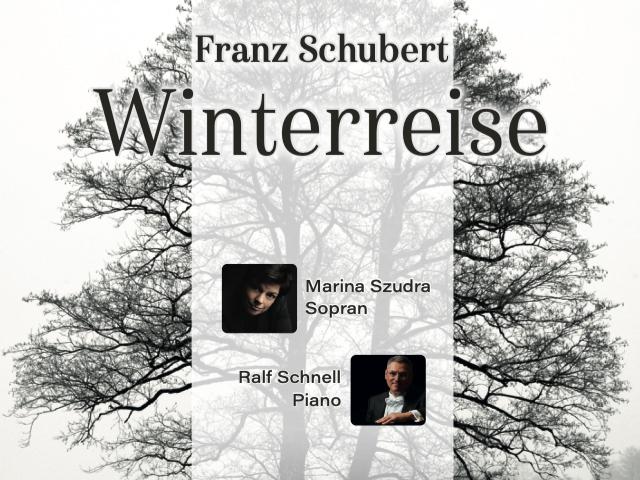 Bild von Franz Schubert: Winterreise