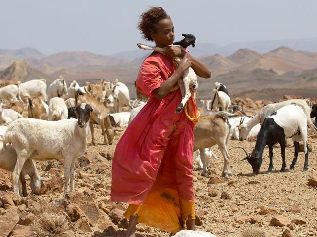 Bild von Afrika Film Festival: Wüstenblume