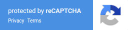 Invisible Google
                            ReCaptcha